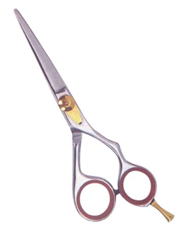 Professional Hair Cutting Scissors 